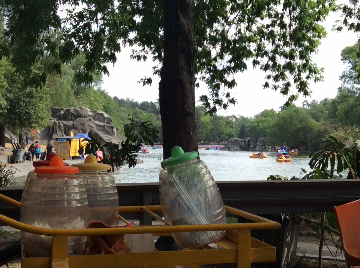 ytavyly's tweet photo. #Chapultepec #yoamodf https://t.co/Lbtbt0aTDl