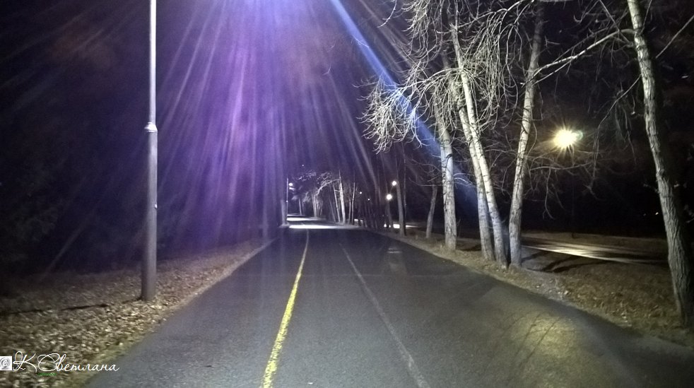 OriginGabri's tweet image. 