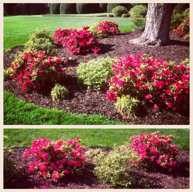 grass_nerds's tweet photo. Don't be down bc of the rain.. Remember.. with April Showers bring May Flowers! #grassnerds #helpinghand #greenville https://t.co/kpb7ts0TIs