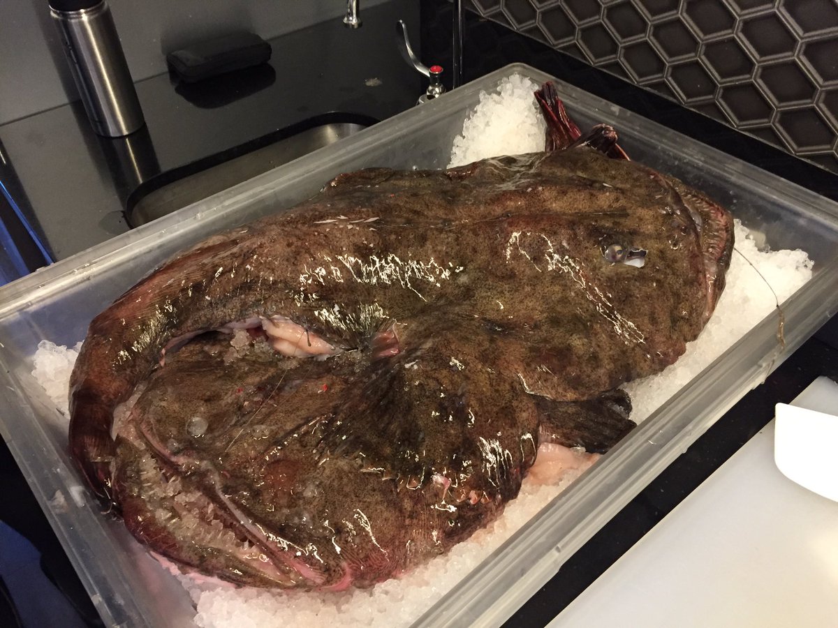 hawaiifitz's tweet image. 10 min until "Why Underutilized Fish Are Good for Your Business". #monkfish #lingcod #chefsummit16 #EatTheseFish