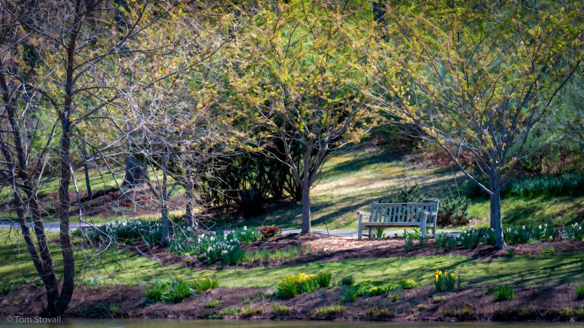 lightlifeimages's tweet photo. #Peaceful spaces. At #NOVA_parks #NVRPA #Meadowlark Botanical Gardens. #DC_Gardens https://t.co/JycNqkZUNc