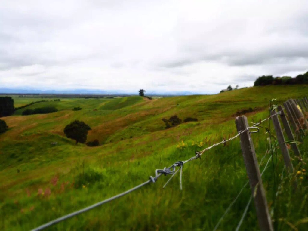 j_will38's tweet photo. Can't wait to go back to this place #NewZealand #summervacation #fc1056r https://t.co/hX6OaVPsVc