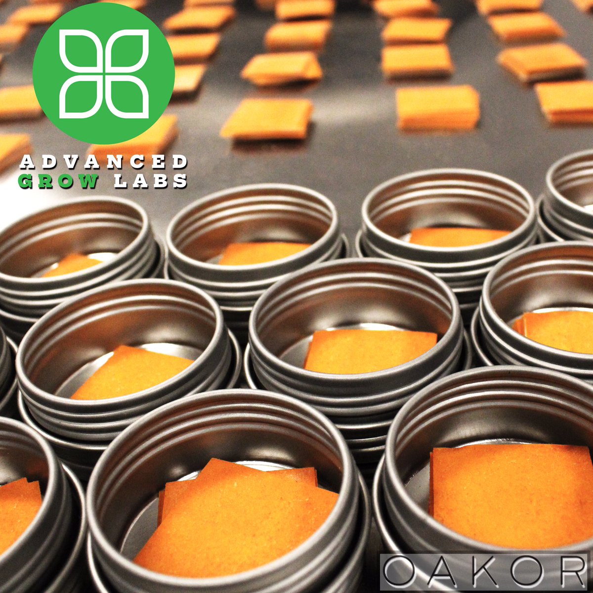 agl_ct's tweet photo. Take a look at these Sativum #Oakor strips! We also offer #indica (blue)&amp; #cbd (mauve) options in 10mg or 20mg. https://t.co/yrIUpAl6eb
