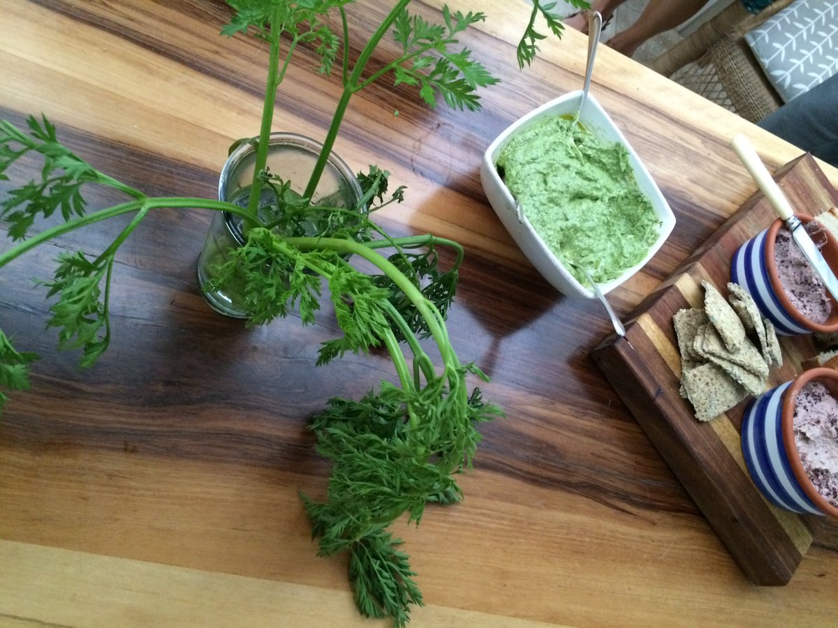 Carrot top pesto. Using the whole vegetable is a step to sustainability.