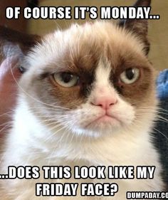 @Kristin_Uhlig <a href="/Spanco_Cranes/">Spanco</a> <a href="/Rigid_Lifelines/">Rigid Lifelines</a> <a href="/LUG_ALL/">LUG-ALL Corporation</a> Thanks Kristin! Have a happy Monday: