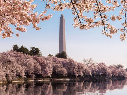 Szayas's tweet photo. It's summit week! Have you registered for #HPEGovSummit yet?!  https://t.co/wMJLjP5Scg https://t.co/zKUhEUvvHX