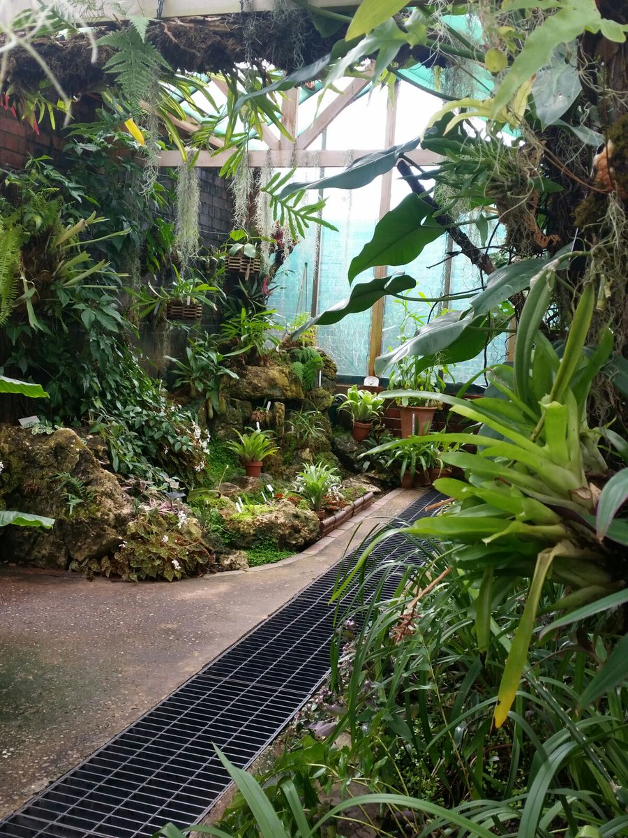 This picture was taken in our Gilbert Orchid House this week!
