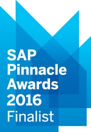 SAP Places NGA at the Pinnacle of Digital HR Development bit.ly/1XqN3LL
