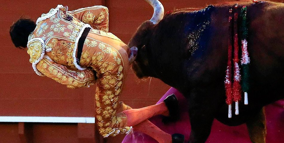 mph951fm's tweet photo. [VIDEO] El toro se vengó y lo corneó donde más duele. No apto para impresionables ► https://t.co/qm1kcoxso7 https://t.co/f4nThpDfCy