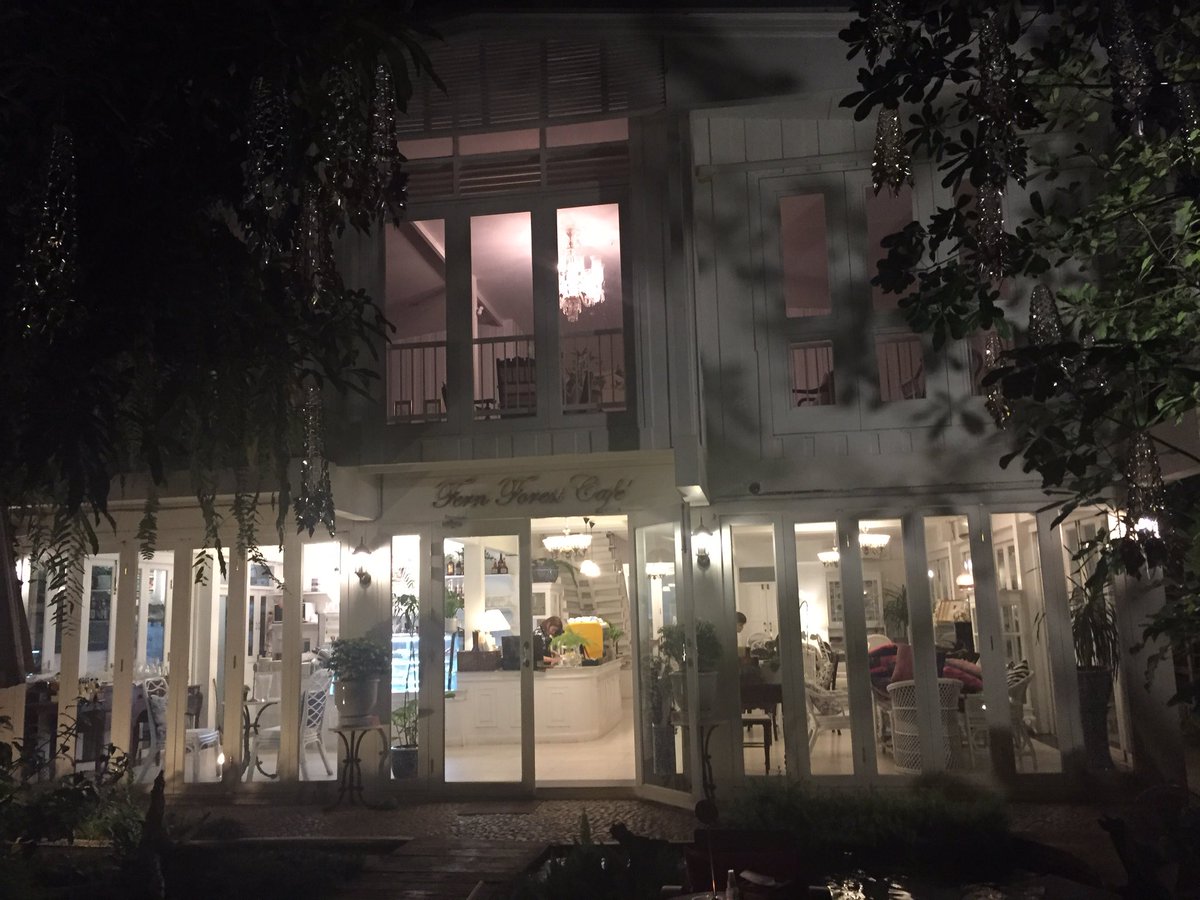 GenImpactPhilly's tweet photo. Another gem of a place - Fern Forest Cafe in Chiang Mai Thailand. #interiors #travel #specialspaces https://t.co/whBX9MaISX