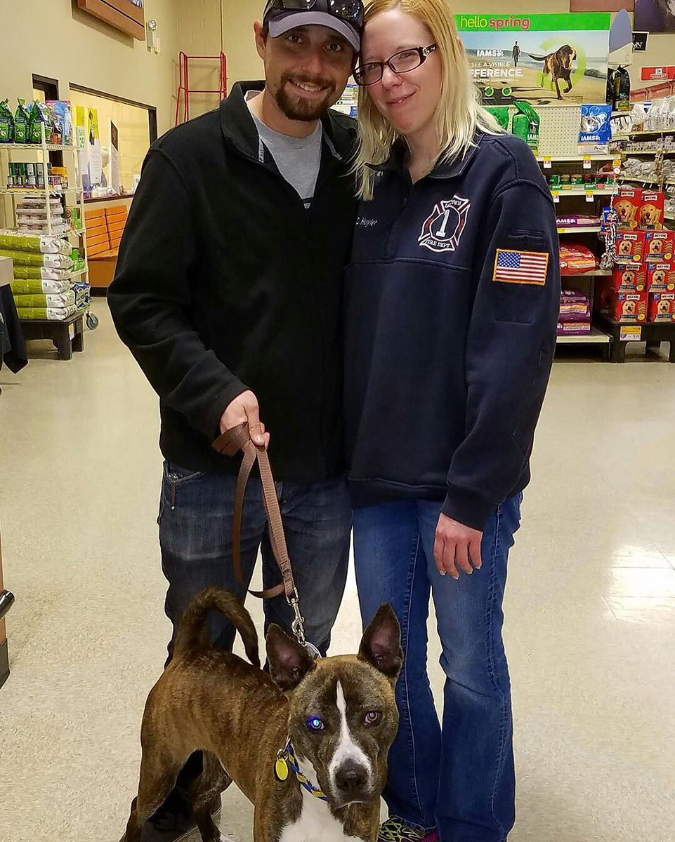 sthubertsanimal's tweet image. Last week, Shai caught a ride up from @CCASNJ on #TheZephyr. This weekend, he was adopted! #sthubertsanimal