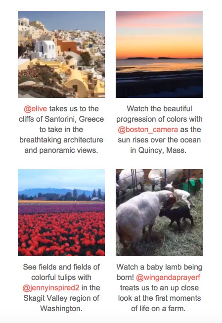 KatchHQ's tweet photo. Missed these great moments in live video? Check out these #katchpicks you may have missed https://t.co/Kn0TgZp1aC https://t.co/E0yzvMaVMX