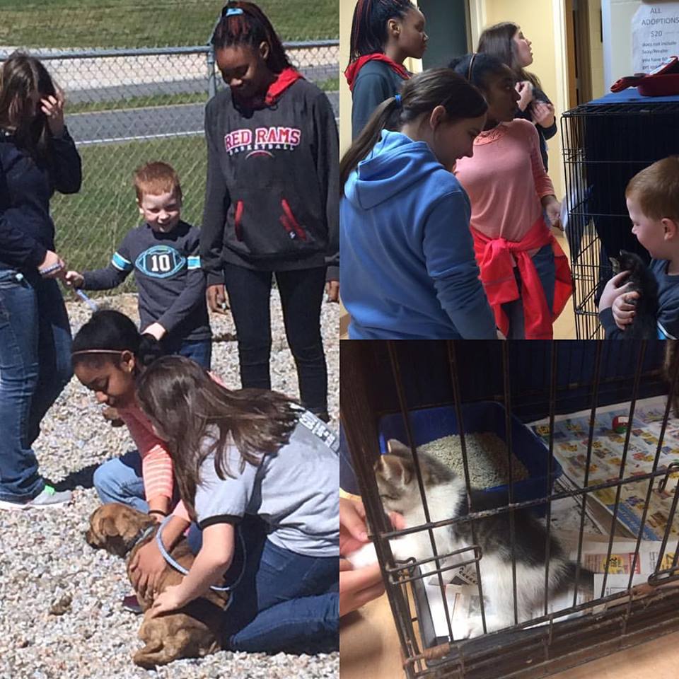 rcsraiders's tweet photo. Our #HamletMiddle Betas are spending their Saturdays volunteering at the Richmond Co. Animal Shelter! #education https://t.co/GNwLYSOS2q