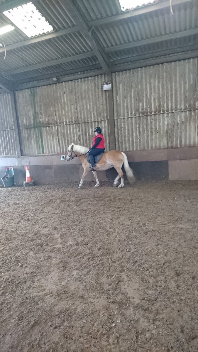 n26pcy's tweet photo. First lesson in 12 months, went well #ridingagain https://t.co/Hy6PjBrkYn