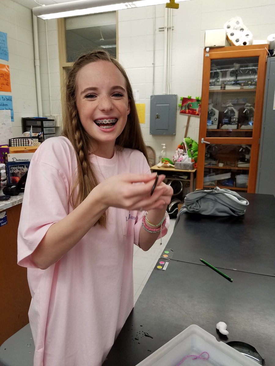 mrsbass7science's tweet photo. Earthworm lab #cmmstallions https://t.co/yArKiBreTs