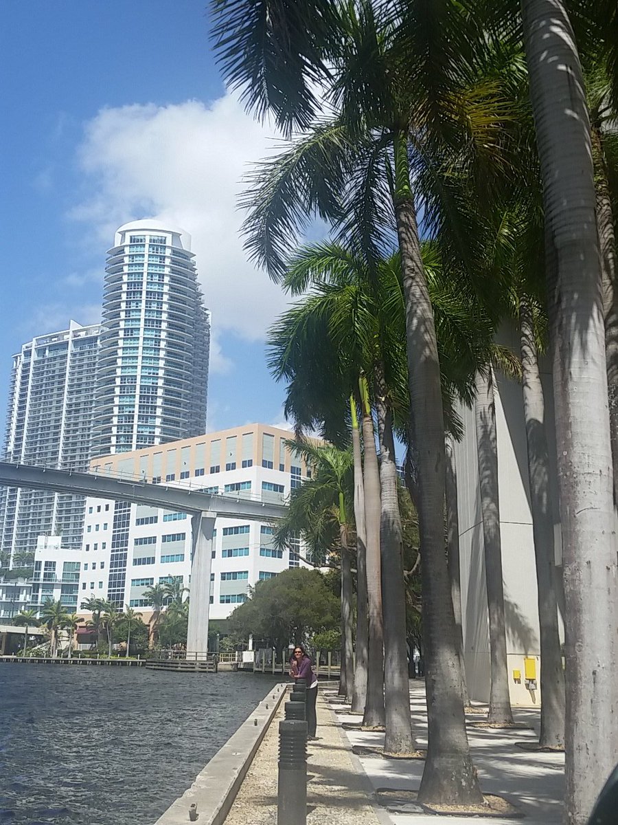 MeghDale's tweet photo. #sacacis50 and #MiamiisBeautiful https://t.co/0rsOllZd2l