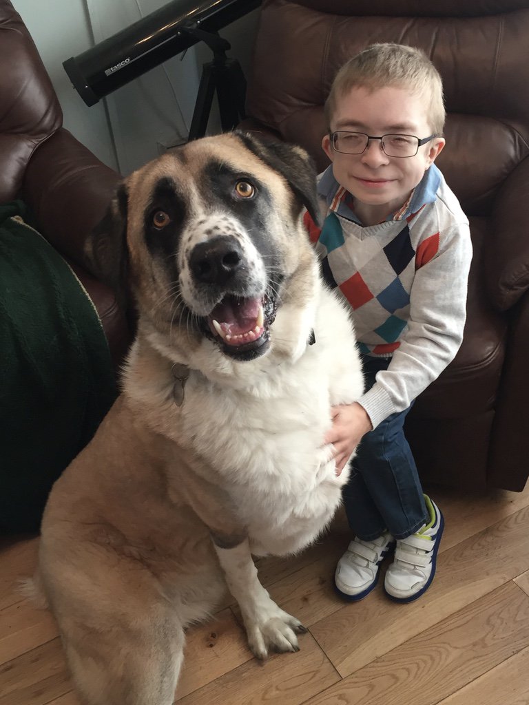 HaatchiHD's tweet photo. Dear everyone....thank you for giving us so many reasons to smile. Love from Owen and Haatchi https://t.co/bnlpMwSIqR