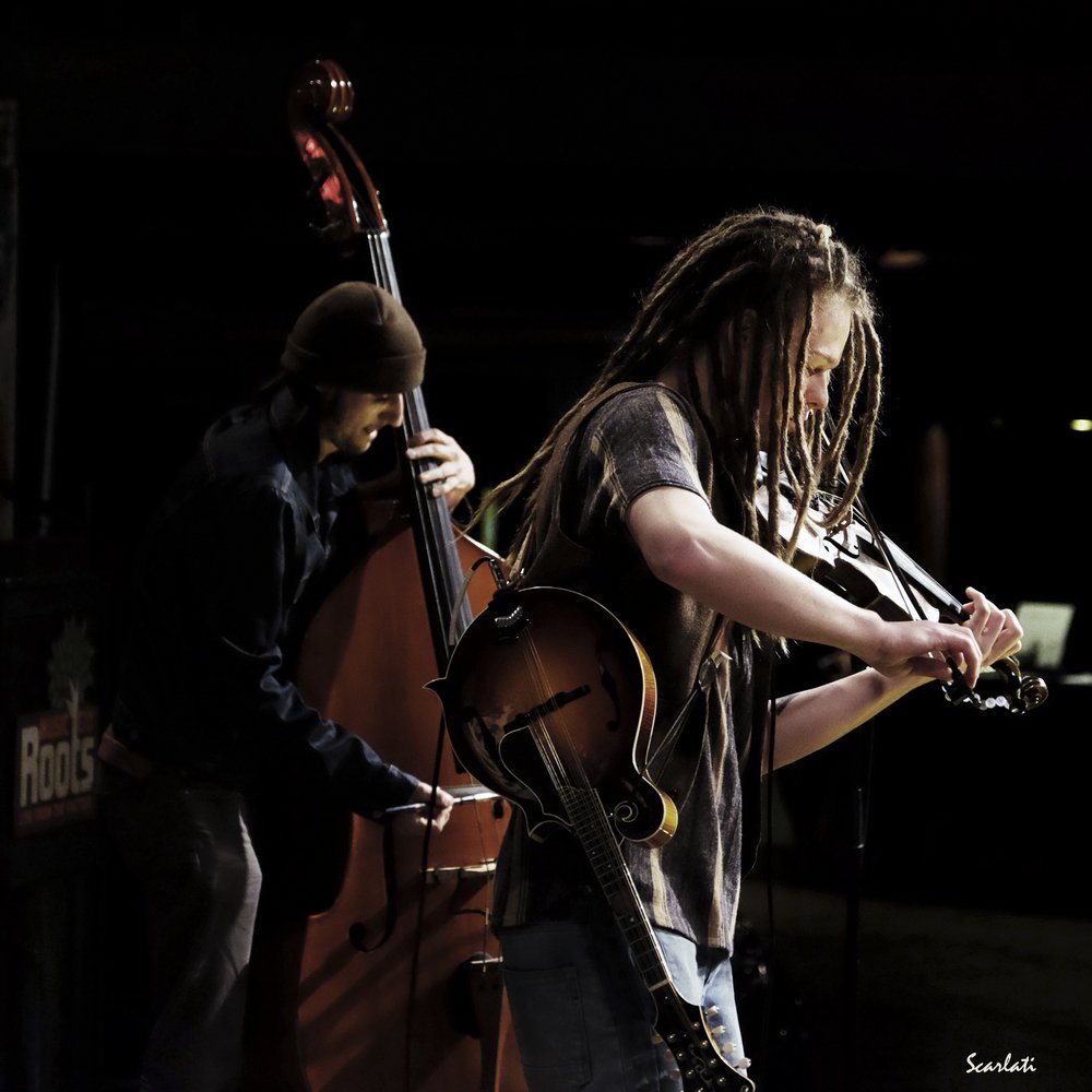MusicCityRoots's tweet photo. New @anthonyscarlati pics w/ @LaTerzaClasse @WayDownWanderer @Julie_Rhodes_ @MemphisUkeBand
https://t.co/QRs1JkgV5e https://t.co/xFmc9N1d7F