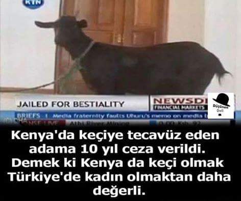 Vay Arkadaş bu dünyada deliğin olmicak tikiyolar hemen
