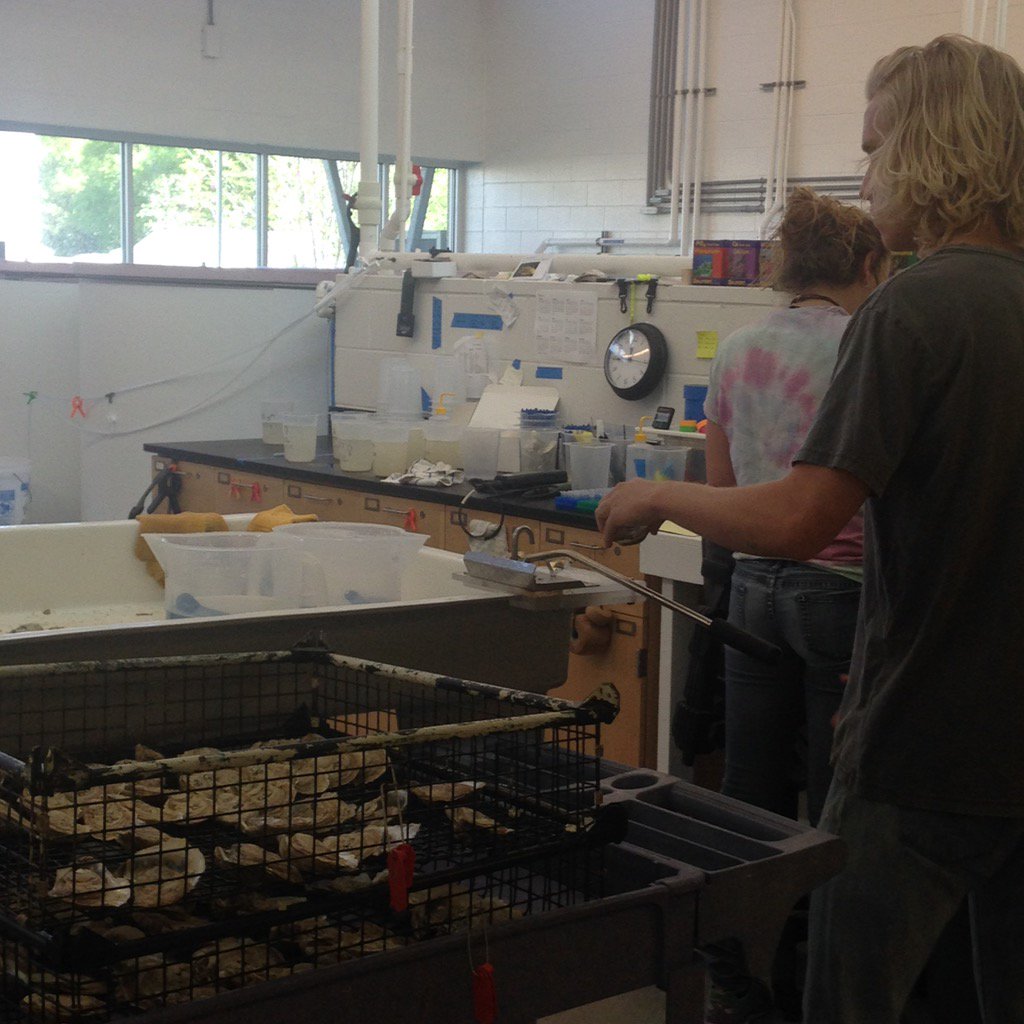 emergingissues's tweet photo. We smell something fishy! #shellfishhatchery #MARBIONC #InnovateSENC @InnovateNC_SE https://t.co/QtuwbUhZi7