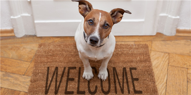 lorireece's tweet photo. Do you have a #pet friendly #house? Here are 7 signs that you do via the #REMAXBlog https://t.co/jMJEk39mfr https://t.co/hdmGOCLHA6