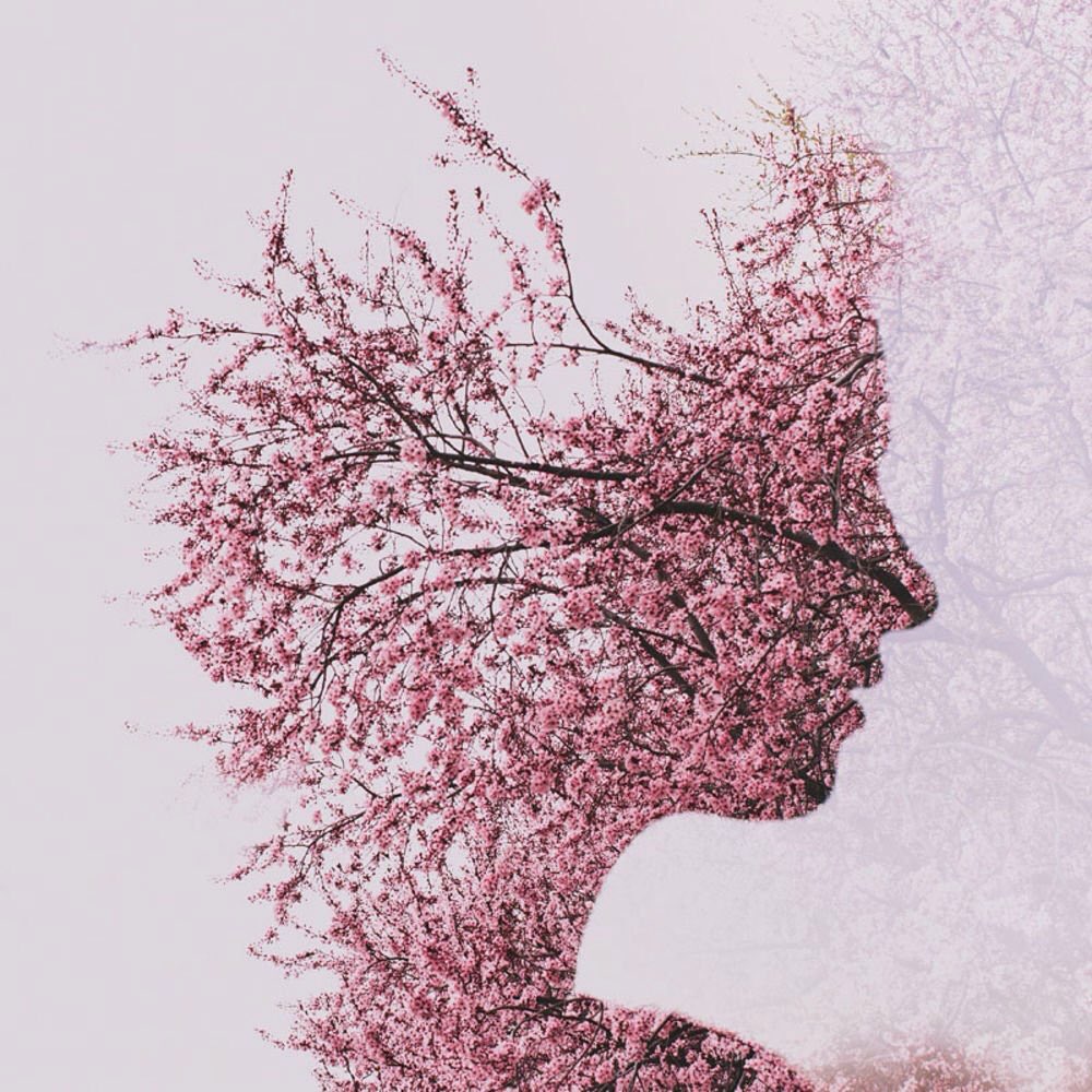 Birşeyi sevmek maharet değil, asıl maharet o şeyi sevmeyenleri de sevebilmektir.