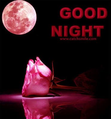 insannirmal777's tweet photo. @Gurmeetramrahim
@MSGAllTrading
#in505msg2 https://t.co/mcvqG5fNL2