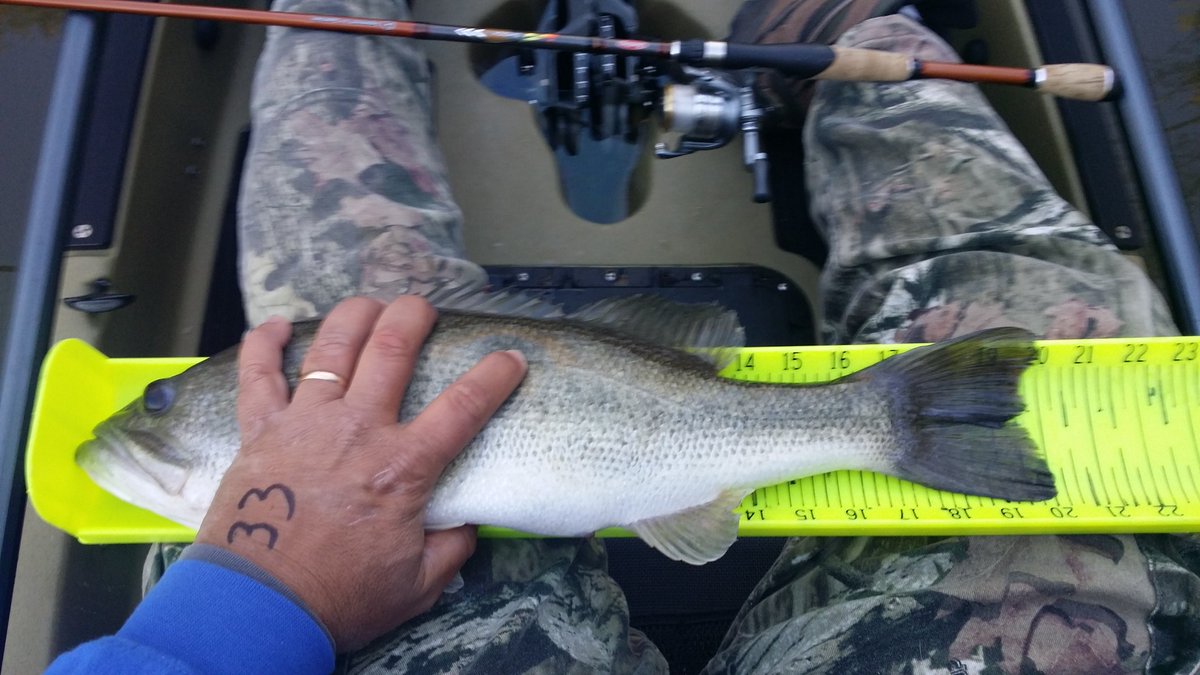 Biggest from yestetday....#biospawnplasmtail6.5