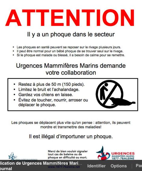 Signe du printemps: période des naissances chez certains phoques du St-Laurent. Règles de sécurité. <a href="/LeDevoir/">Le Devoir</a>