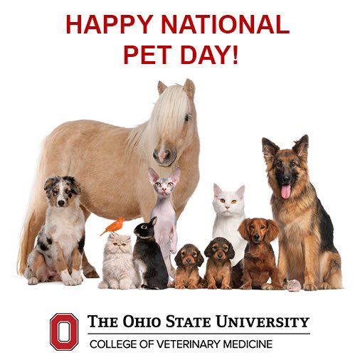 OSUVetCollege's tweet photo. Happy National Pet Day! To all the pets out there, thank you for your companionship, loyalty, and love! https://t.co/a3KULJUovf