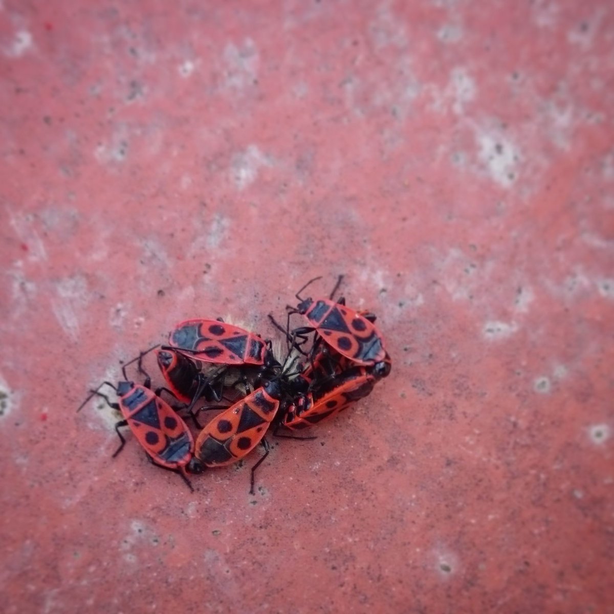 #love is in the #air