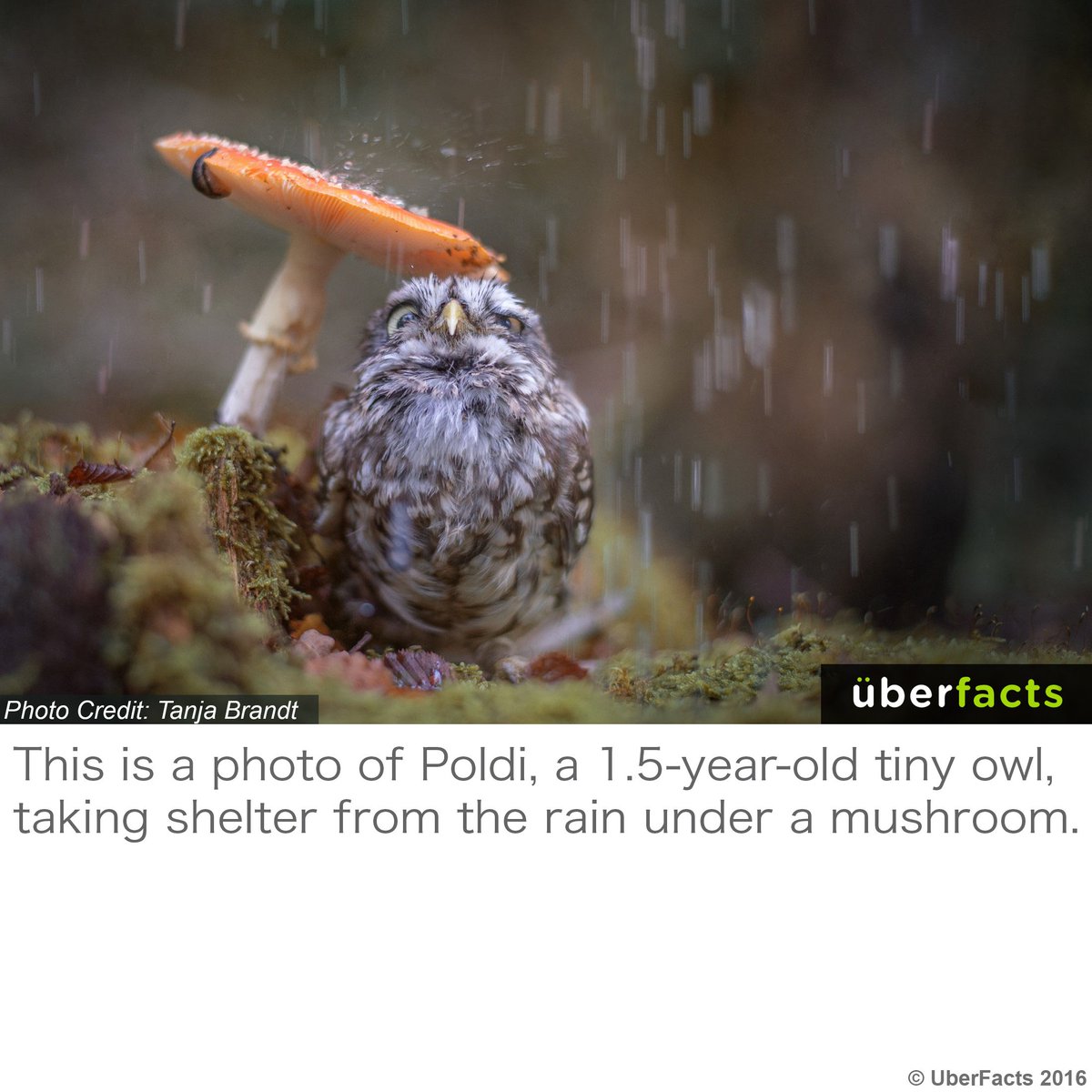UberFacts's tweet photo. <3 <3 https://t.co/RXPRILlDa6