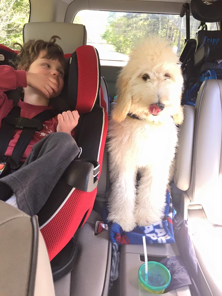 Just a boy and his pup. KCCO, Tripp! #ChiveCharities #TenPercentHappier