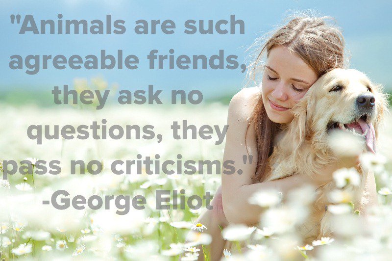 PJ's Pet Centres tweet media