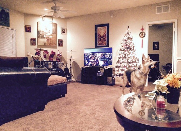 _soulpunx's tweet photo. I cannot wait to have a place to call ours again. #xmas2014 https://t.co/Jk0m3MePOe