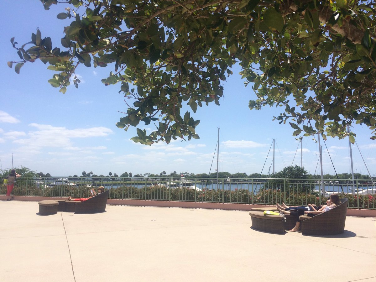 IPAYtweet's tweet image. Sam here - reviewing notes and emails from under this tree in beautiful FL! Not the worst Monday... 🌝 #Xperience2016