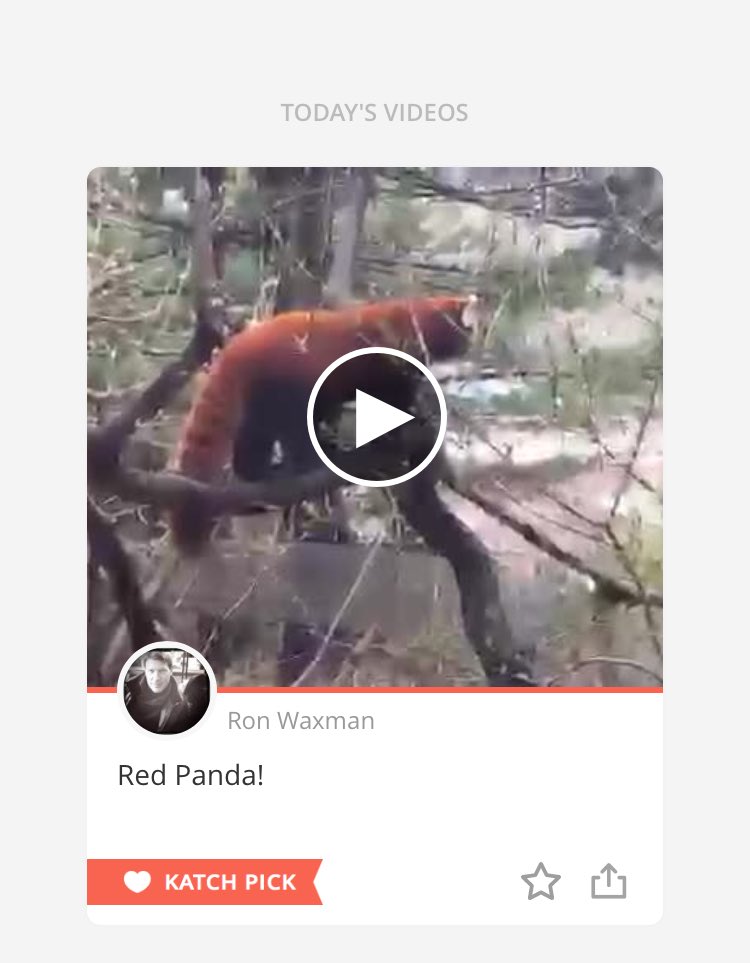 BoopFashionista's tweet photo. Fantastic to see @RonWaxman featured as today's @KatchHQ #KatchPicks with one of his legendary NYC zoo scopes! 👏🏻 https://t.co/9tEEIHDT3r