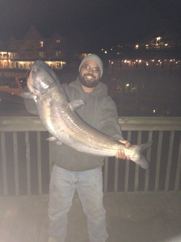 Fishidy tweet media