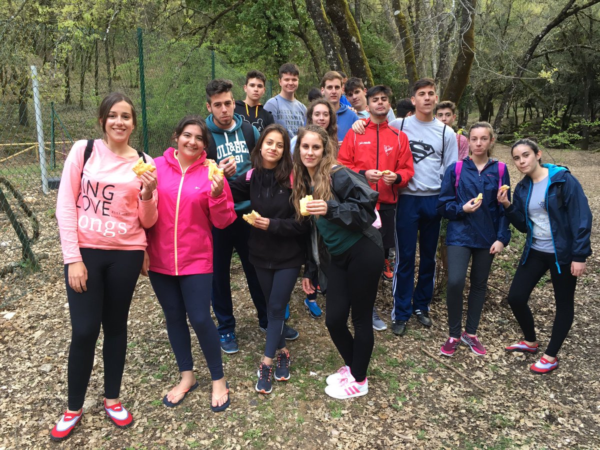 iesjosenavarroayalba tweet media