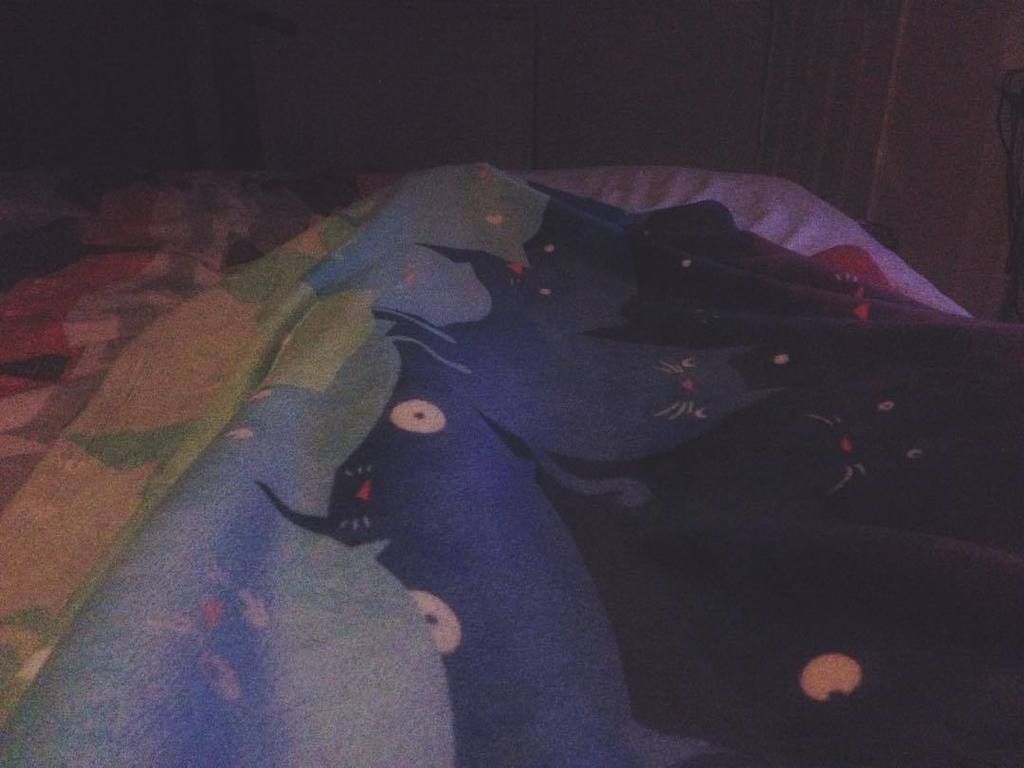 JordanMclen's tweet photo. Watching YouTube videos in bed with my cat blanket! #iamsocomfortable #cats #cat #catblank… https://t.co/YwFIGGfe4w https://t.co/md6uS8gaLv
