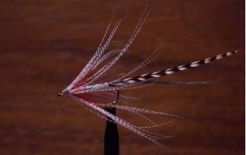 OrvisFlyFishing's tweet photo. Learn to tie this elegant baitfish pattern.  https://t.co/lGQkCP1h8p #flyfishing https://t.co/MO8k03B6Cz