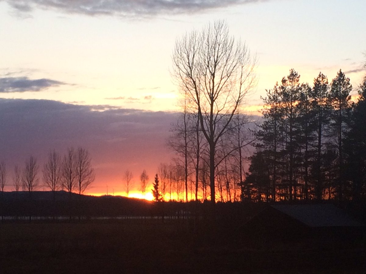 PeAKyou1's tweet photo. Försöka att göra någon glad varje dag. 
En annan människa eller dig själv.
  ✨ gammalt ordspråk ✨ https://t.co/2dlZMS35yB