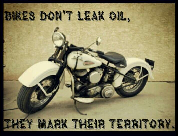BlueMoonCycle's tweet photo. #cyclewisdom #ridevintage #motorcycle https://t.co/ZJ11xtfcuP