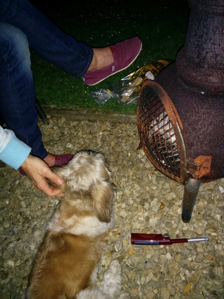 LadyMShihTzu's tweet photo. Prime fireside lounging - that man better not steal my position
#ShihTzuProblems
#WarmingMyPaws https://t.co/9deXx0kRdl