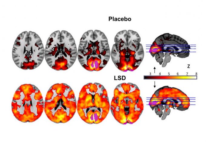 ���������� ����������� � ��������