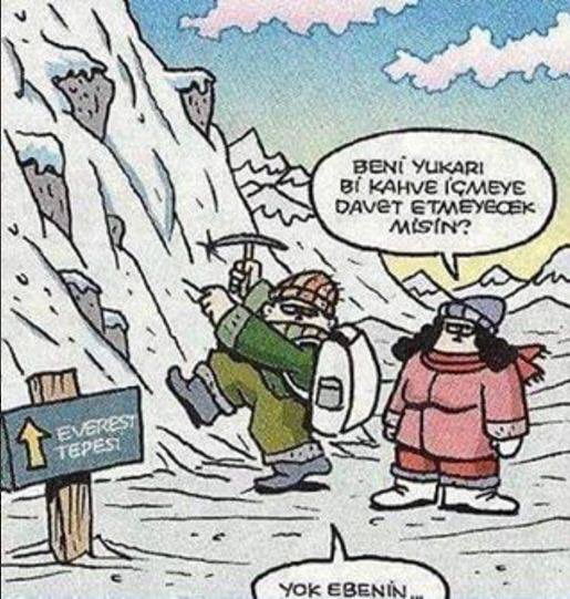 #karikatür #alpindede