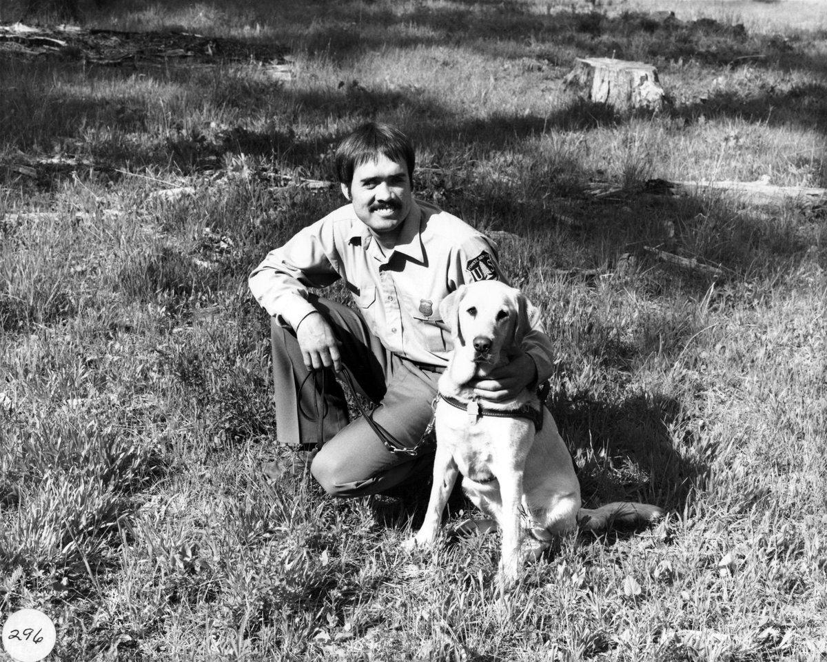 ForestServiceNW's tweet photo. Most @forestservice rec areas allow dogs. Check w/local FS for areas you need to keep dogs on leash #NationalPetDay https://t.co/AzJbg8NPnc