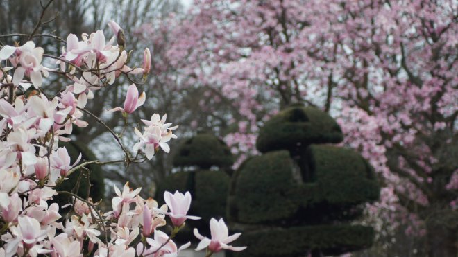 nationaltrust's tweet photo. Celebrate #NationalGardeningWeek by exploring one of our top spring gardens: https://t.co/H2hFirTGAT https://t.co/3IIXjppwXX