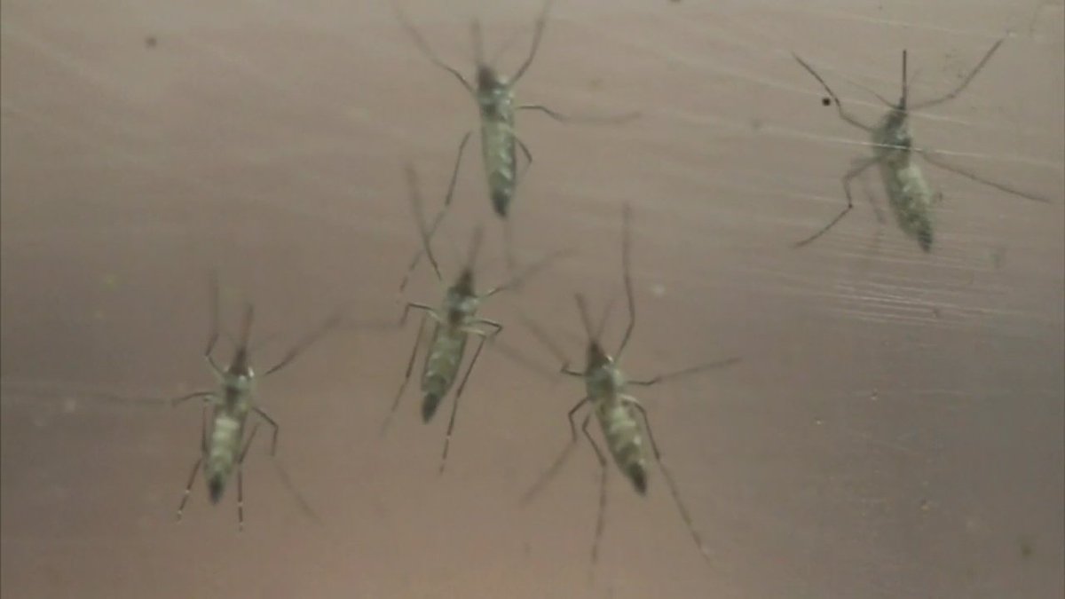 #Zika virus scarier than thought according to US health officials bit.ly/1Wo5IJH?utm_me… https://t.co/0CCrVt4kE1