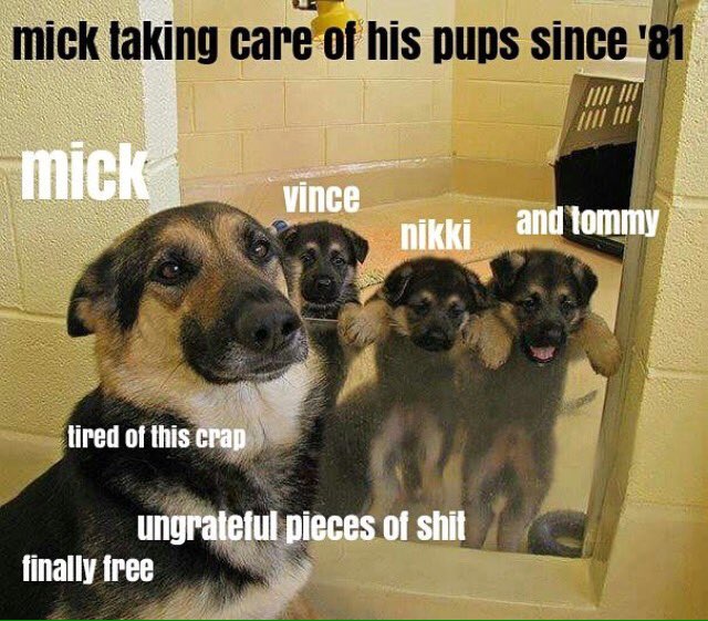 Vanhaley502's tweet photo. @NikkiSixx I'm just throwing out this meme bc it is so true https://t.co/iFFAAgHoxf